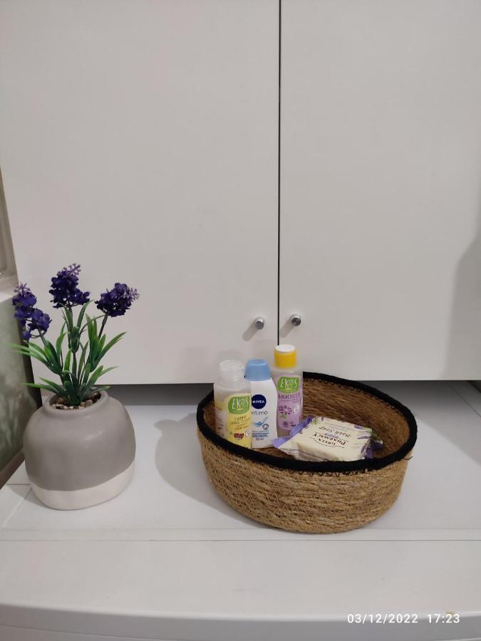 Bolo Guesthouse Bologna Eksteriør billede